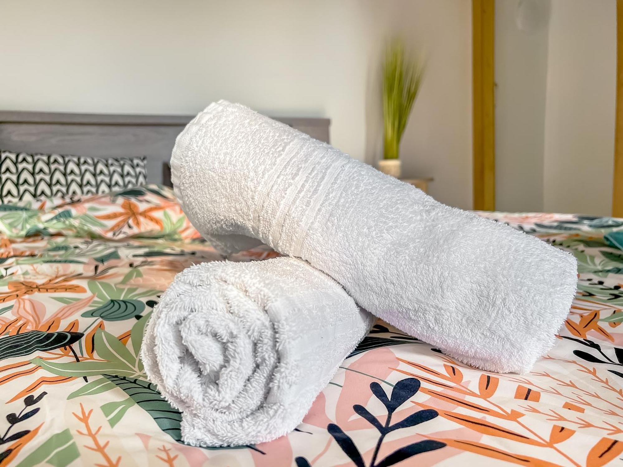 L'eden Carolo - Netflix, Wi-fi, 10min Aeroport, Parking Gratuit